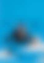 Happy Choppers (preview)