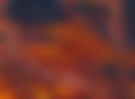 Veld Fire (preview)