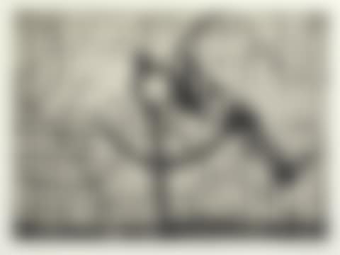 Zeno II: Prosthetic Leg (preview)
