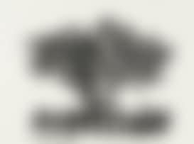 The Bird and its Watcher (preview)