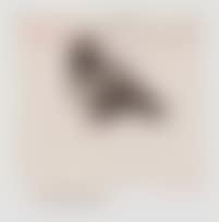 Thank You (Pigeon) (preview)