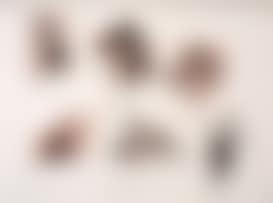 Couples (preview)