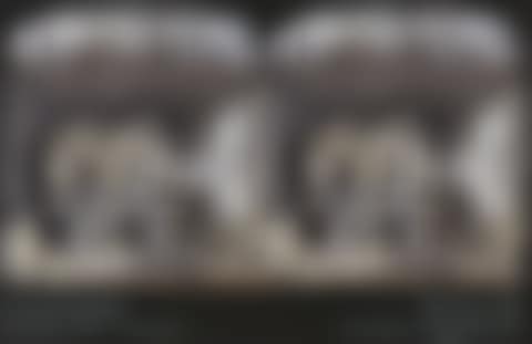 What Will Come, poster (preview)