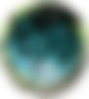 Untitled (Octopus) (preview)