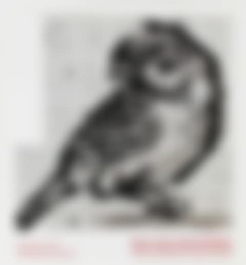 Notes Towards a Model Opera, poster (preview)