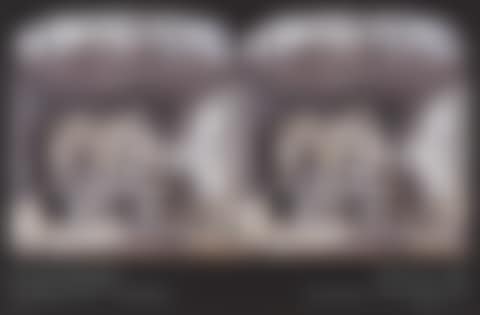 What Will Come, poster (preview)