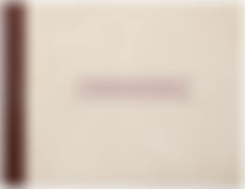 The White Monday Disaster, artist"s book (preview)