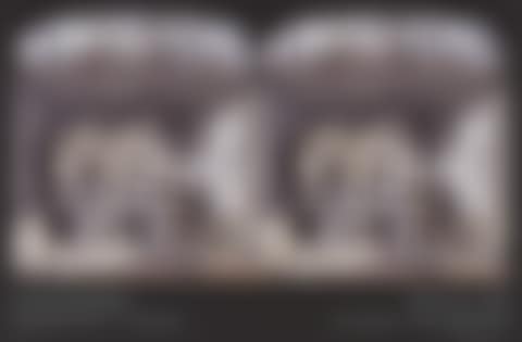 What Will Come, poster (preview)