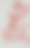 Mother and Child (preview)
