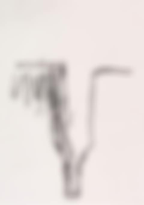Ohne Titel (Flasche) (preview)