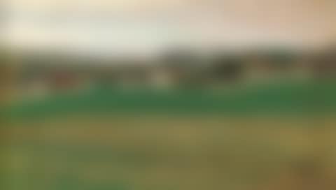 Wiese mit Dorf im Hintergrund II (preview)