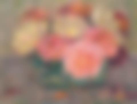 Roses (preview)