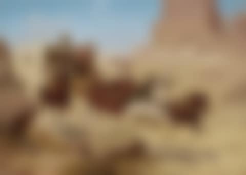 Attack on the Stagecoach (preview)