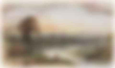 An angler by a river at sunset (preview)