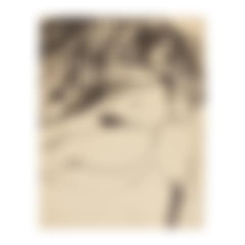 Untitled (preview)