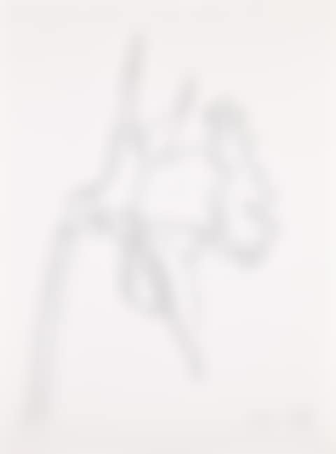 Daffodil (G. 2013, A. 315) (preview)