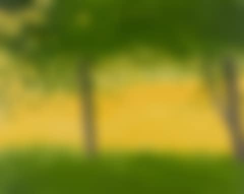 Golden Field #1 (preview)
