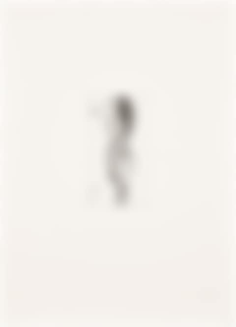 Untitled, from Anatomy (MoMA 1043) (preview)