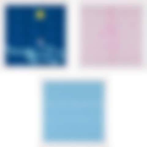 Snow, Moon, Flower (preview)