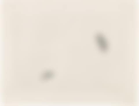 Untitled (Bird and Butterfly) (W. 98) (preview)