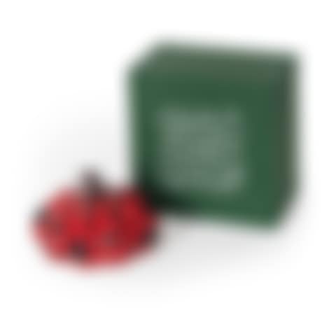 Naoshima Red Pumpkin (preview)