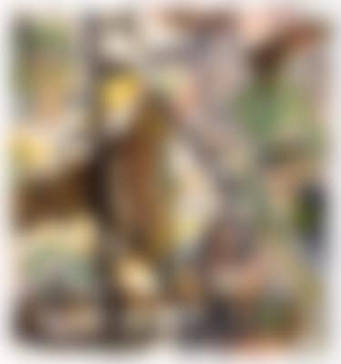 Untitled (preview)