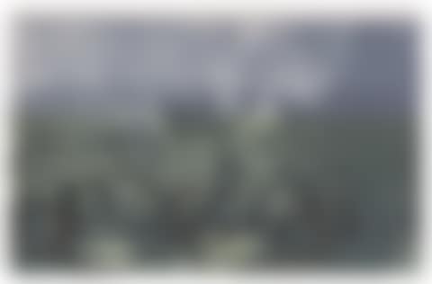 Untitled (from the New River Watercolour Series IV); Untitled (from the New River Watercolour Series IV ) (preview)