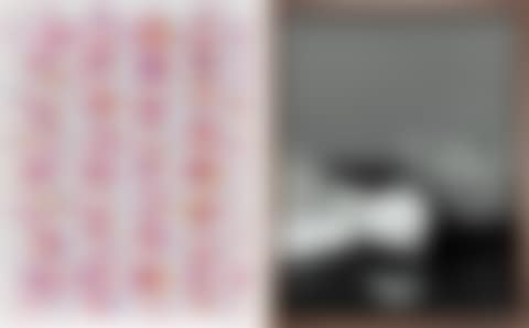 Two works: (i) Wall; (ii) Meat, Onion (preview)