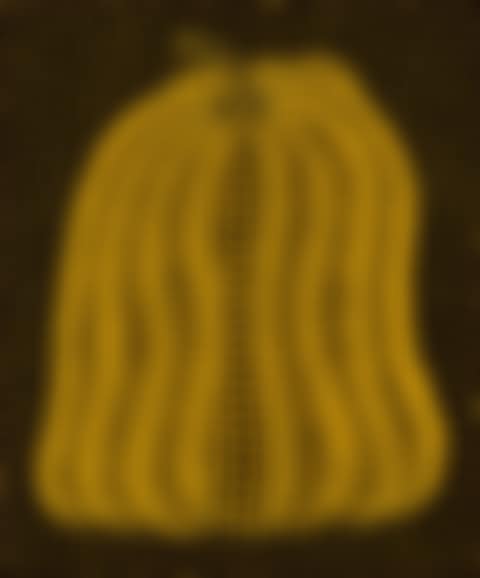 Pumpkin MT (preview)