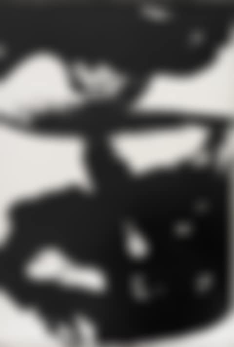 Confrontation of Yin and Yang (preview)