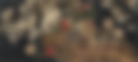 Auspicious Bird (preview)