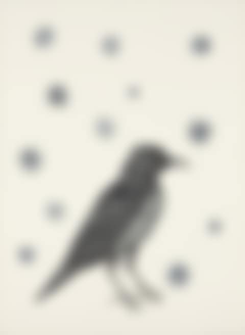 Bird with Stars (preview)