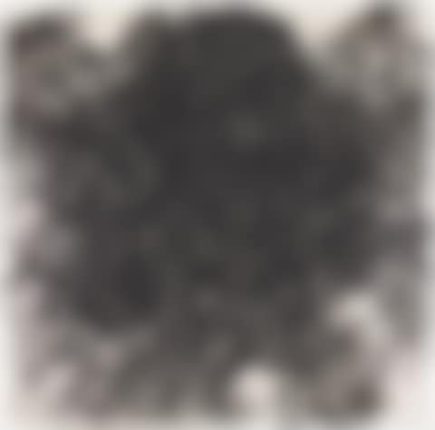 Untitled (hair) (preview)
