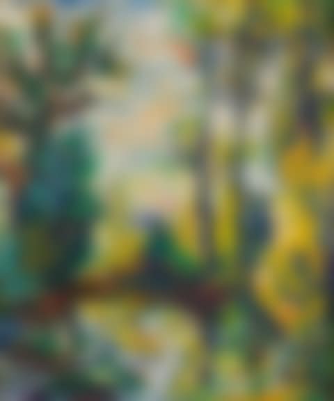 Paysage (preview)