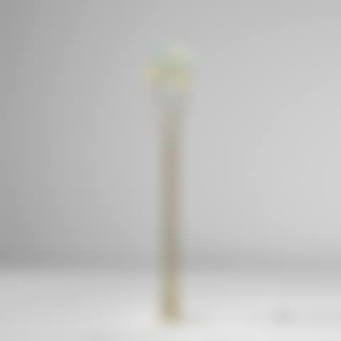 Rare floor lamp (preview)