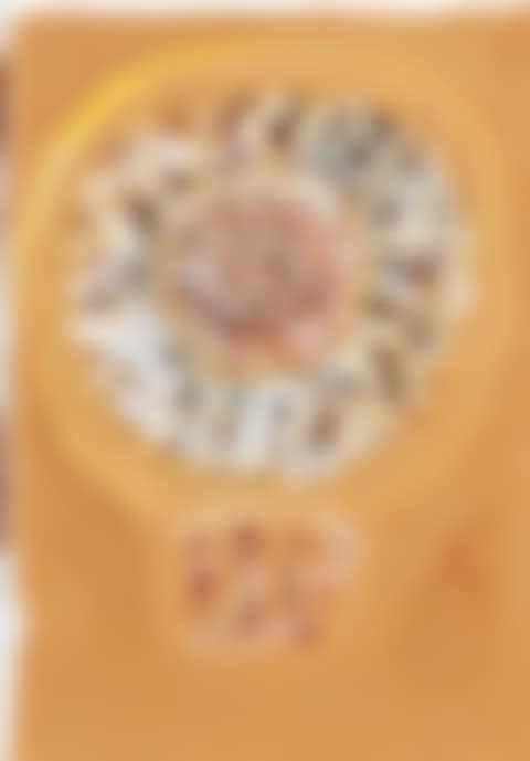 Space Rose, Biarritz (preview)