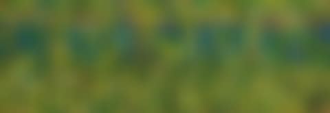 Landscape (preview)