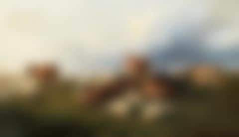 Cattle and sheep on Canterbury meadows (preview)