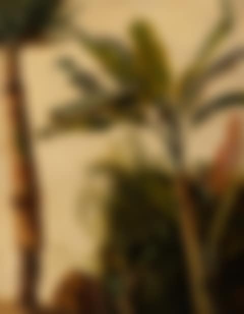 Wild Palm and Cacti (preview)