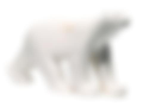 White bear (preview)