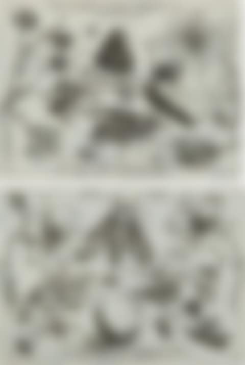 MERCURY AND ARGUS (preview)