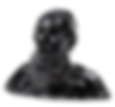 Bust (preview)