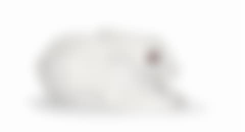 Le lapin; Le lapin (preview)