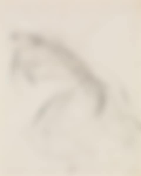 Nu (preview)