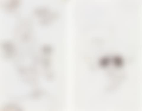 Double-sided (preview)