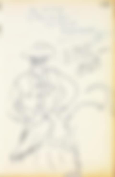 Bullfighter (preview)