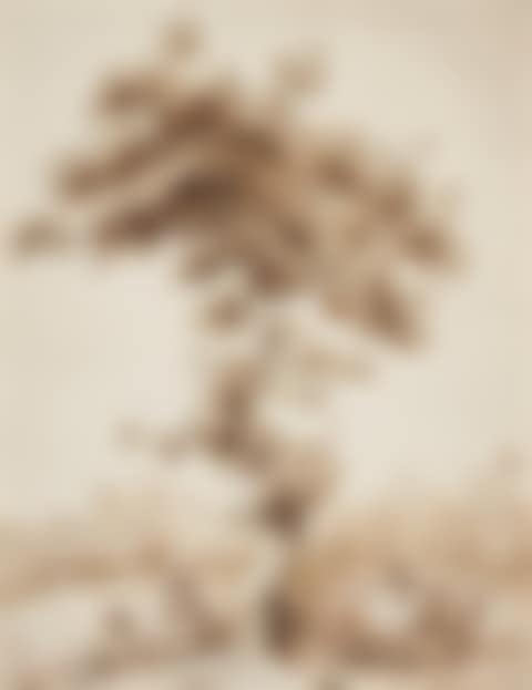 Shepherd couple at the foot of a tree (preview)