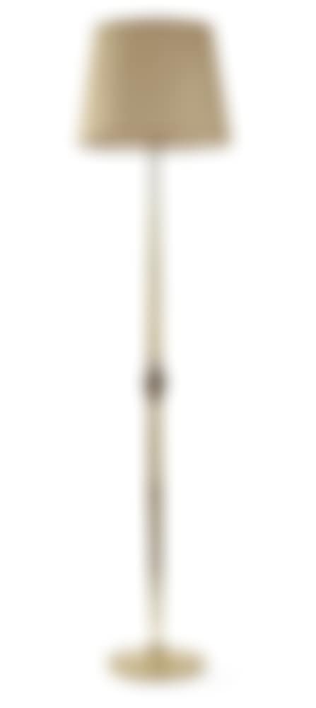 A brass floor lamp (preview)