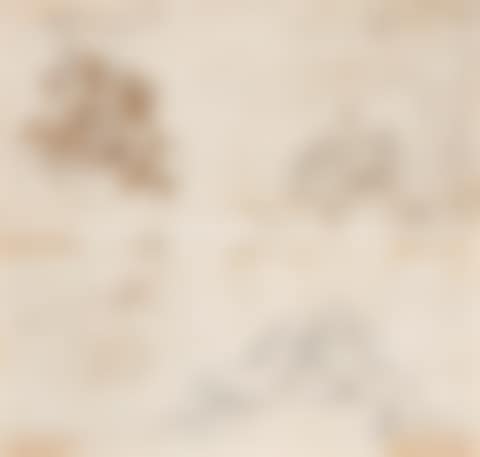 Double-sided study of putti and writing (preview)