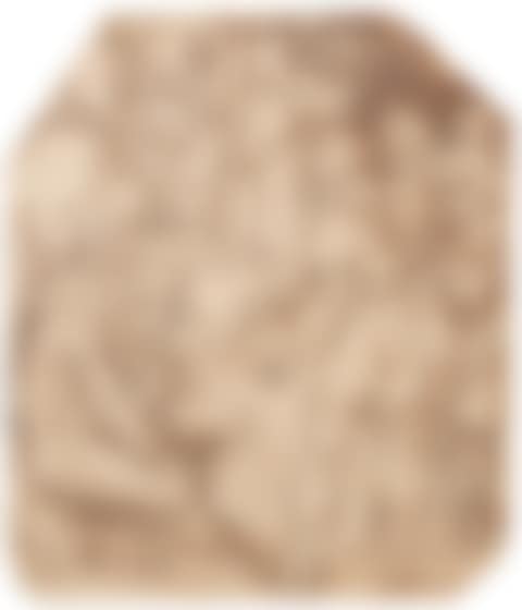 cenes from the life of a saint, after a Master (preview)
